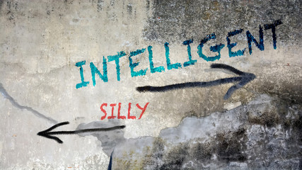 Street Graffiti Intelligent versus Silly