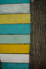 horizontal colored boards and vertical tree trunk summer