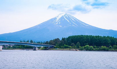 Beautiful Fuji mountain with cloud and blue sky in summer, the famous landmark and attraction place of tourists who have a long holiday in Japan, Lake Kawaguchiko