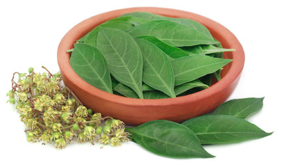 Ayurvedic henna leaves and flower