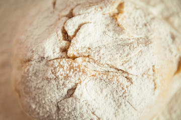 dough with farina,  close up