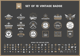 Vintage Retro Vector for banner