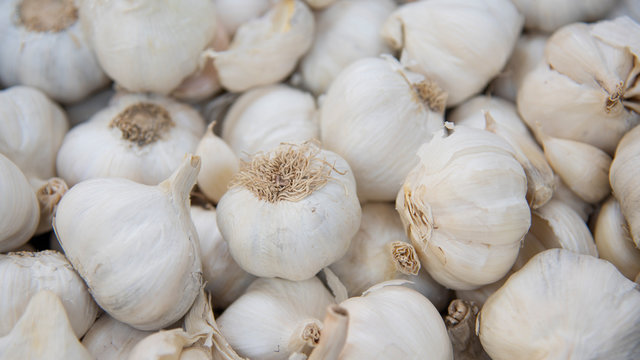 White garlic pile texture. Fresh garlic on market table closeup photo. - Image