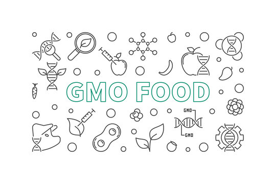 GMO Food vector concept horizontal illustration in outline style