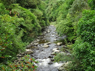 Fototapeta na wymiar Rivière de Nouvelle-Zélande