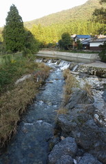 Fototapeta na wymiar 里山と川の自然風景です
