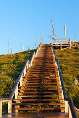大台ケ原で撮影した朝日を浴びる階段