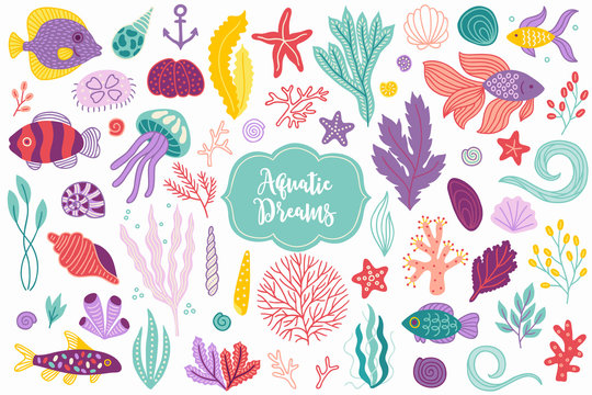 Sea animals - fish, jellyfish, seaweed, starfish, shell, corals, polyp