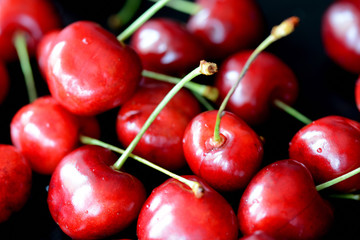 Ripe sweet cherry berries with water drops on a dark background close up
