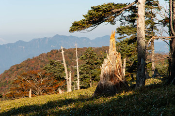 快晴の大台ケ原で撮影した紅葉した山