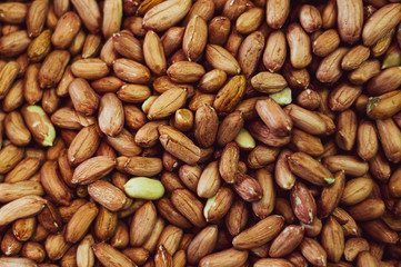 Roasted peanuts