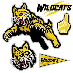 athletic sport mascot style of wildcats in set © bazzier