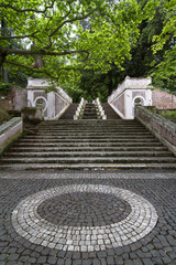 Obraz premium ancient stone stairs in forest garden park