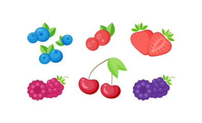 Isolated fresh berries with slices collection vector illustration. Set of natural berries on white background with delicious slices for beverage season offer or cafe menu promotion