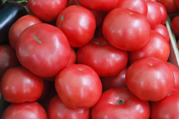 Red ripe tomatoes in the tray, top view