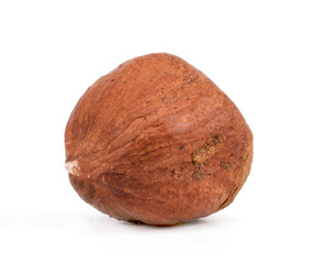 Hazelnut on a White Background.