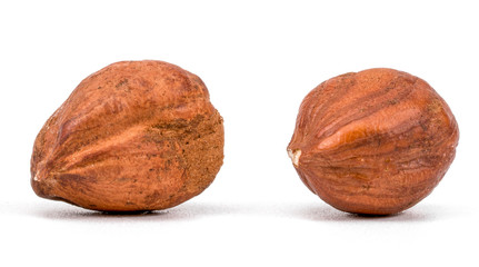 Hazelnuts on a White Background. Two Hazelnuts on a White Background