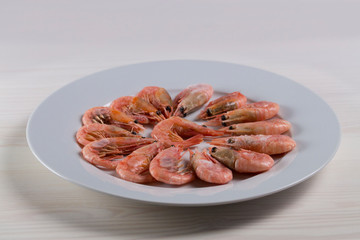 Thawed boiled shrimp prawns lobster are on a white plate. Raw small pink shrimp in shell with head and tail, shell food ingredient prefabricated