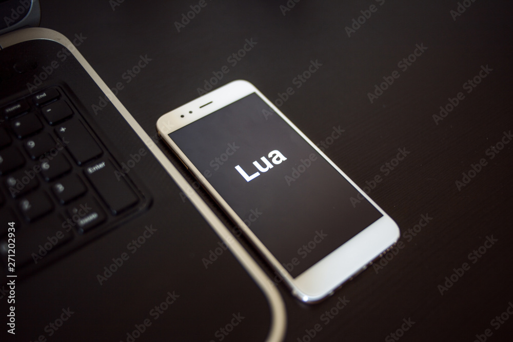 Wall mural programming language lua for mobile development, concept. smartphone near the laptop