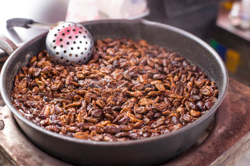 Silkworm Larvae or Beondegi. steamed silkworm chrysalis, Pupa
