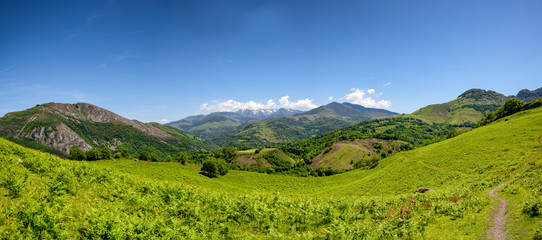 panoramic of mountain landscape in summer. Pyrenees