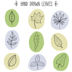 Floral simple graphic collection