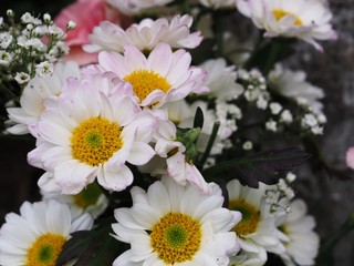 Obraz premium Bouquet with white flowers