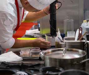 Obraz na płótnie Canvas Chef blending meat in hand stick blender