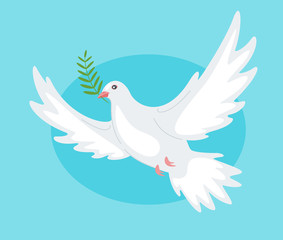 Beautiful peace dove 