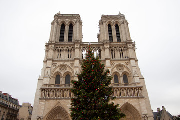 Fototapeta na wymiar パリのノートルダム大聖堂