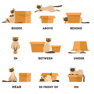 Cat and box set. Learning preposition concept. Animal above Stock Vector |  Adobe Stock