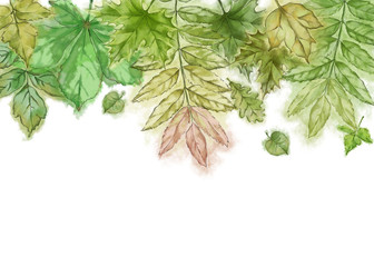 Green Summer Leaves Border with White Empty Copy Space. 