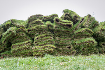 heap of natural grass turfs for garden installing