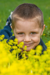 Cute little boy lying in the grass and flowers and laughing