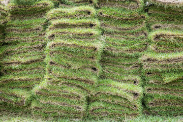 heap of natural grass turfs for garden installing