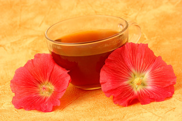 Hollyhock infusion. Althaea rosea.