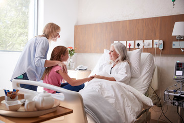 Granddaughter Talking With Grandmother On Family Hospital Visit