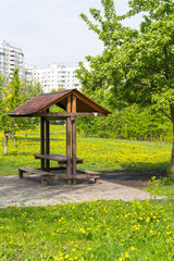 picnic place in public park near apartment building, yellow dandelions meadow and spring tree around