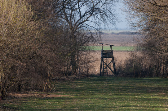 deer stand used by hunters in springtime