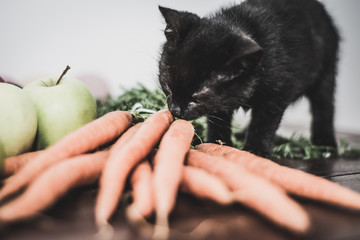 Small black kitten with fruit and vegetables