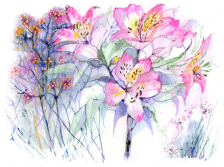 Pink lilies, flowers, watercolor drawing - 271214584