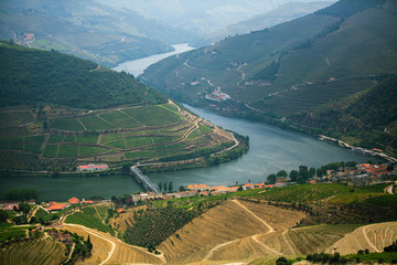 Panoramic view of the river bend in the Douro valley and vineyards in the hills, Porto, Portugal.