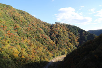 広島の紅葉