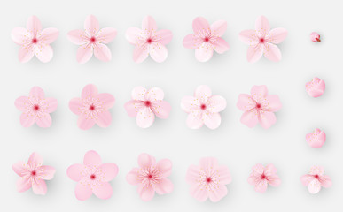 Fototapeta na wymiar Realistic sakura or cherry blossom