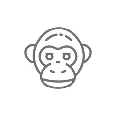 Monkey, chimpanzee, gorilla head line icon.