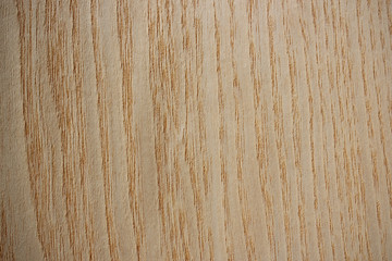 Ash wood surface - vertical lines