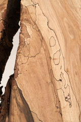 Tischplatte Nussbaum Holz Maserung Detail 