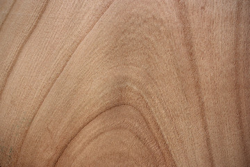 Cherry wood surface - annual rings
