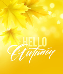 Autumn poster with lettering and yellow autumn maple leaves. Vector illustration