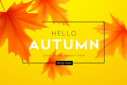Autumn poster with lettering and yellow autumn maple leaves. Vector illustration